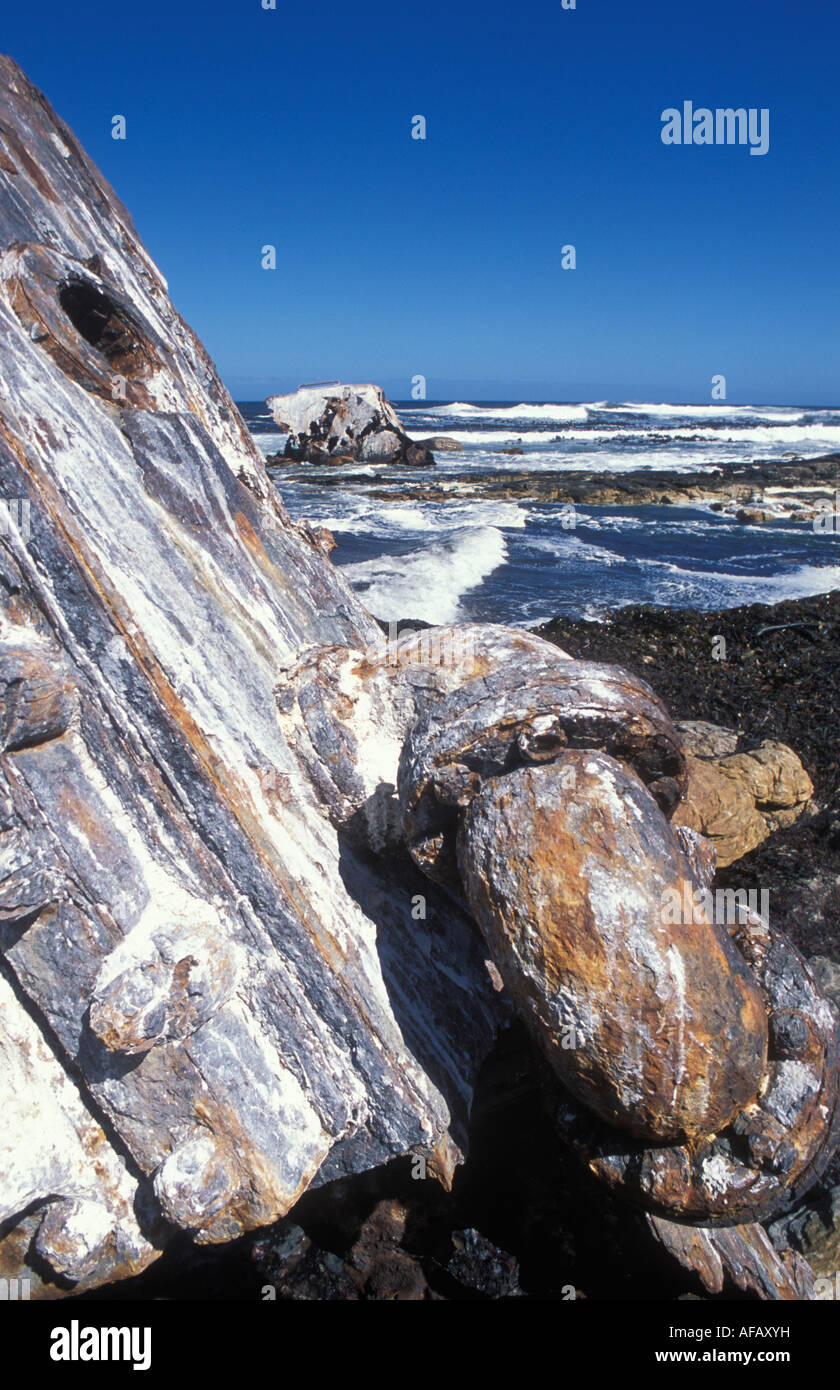 Relitto di nave Tucker a T T Tucker naufragio trail a Capo di Buona Speranza vicino a Città del Capo in Sud Africa Foto Stock