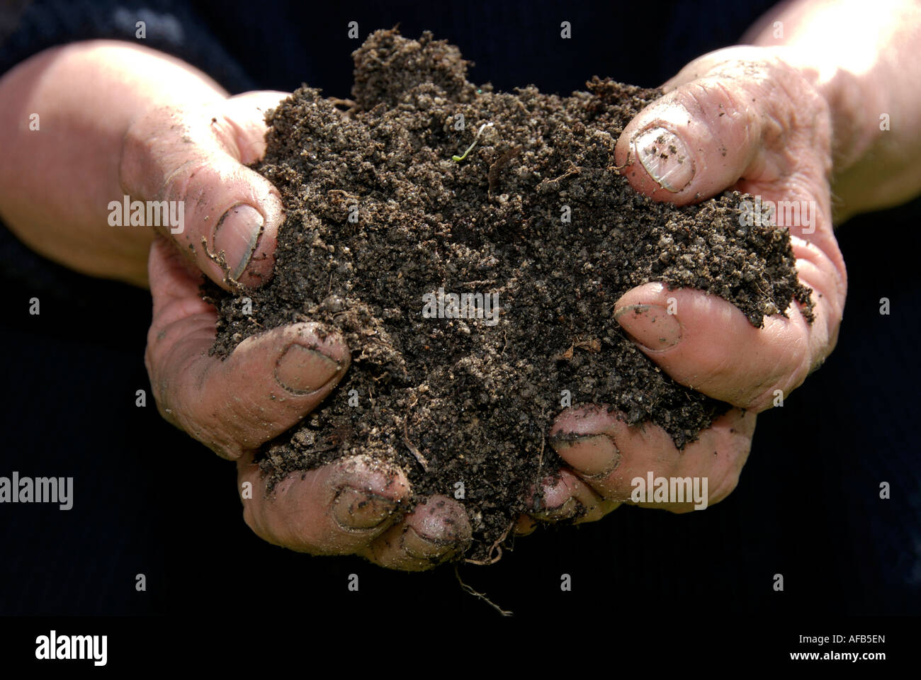 Giardiniere mani tenendo un cumulo di terra o di terra vicino fino Foto Stock