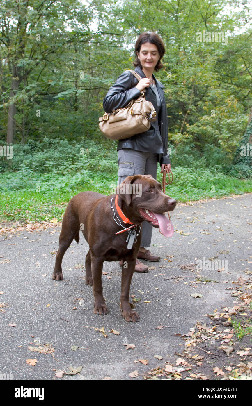 Il Bois de Boulogne di Parigi Francia 2007 Foto Stock