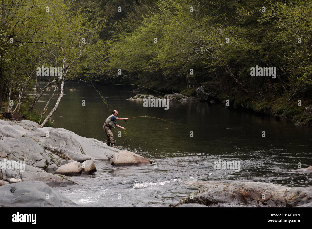 Pescatore a mosca nel Parco Nazionale di Great Smoky Mountains Foto Stock