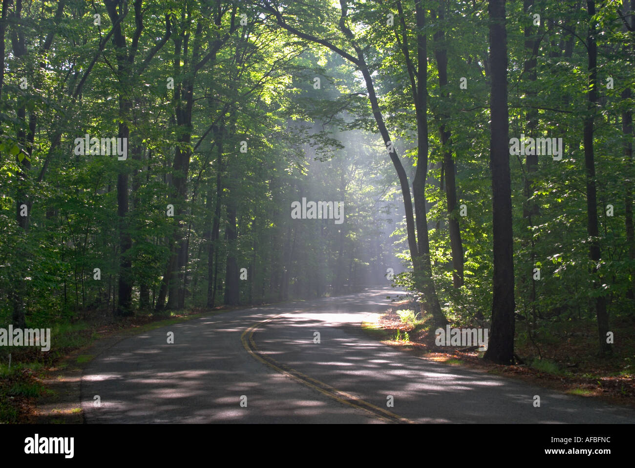 Strada in Door County Wisconsin con raggi di sole proveniente attraverso gli alberi Foto Stock