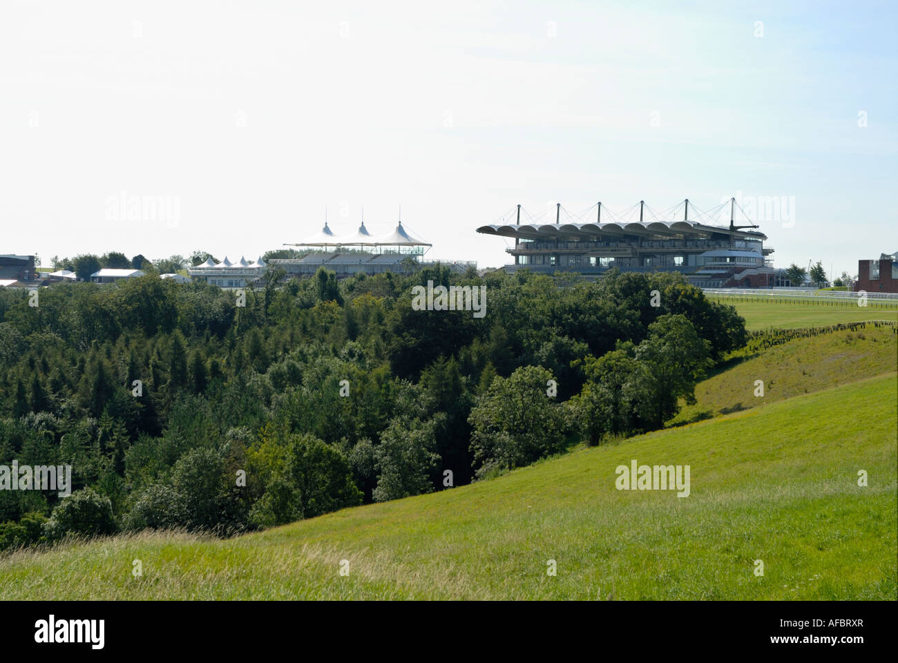 Goodwood Racecourse, West Sussex Foto Stock