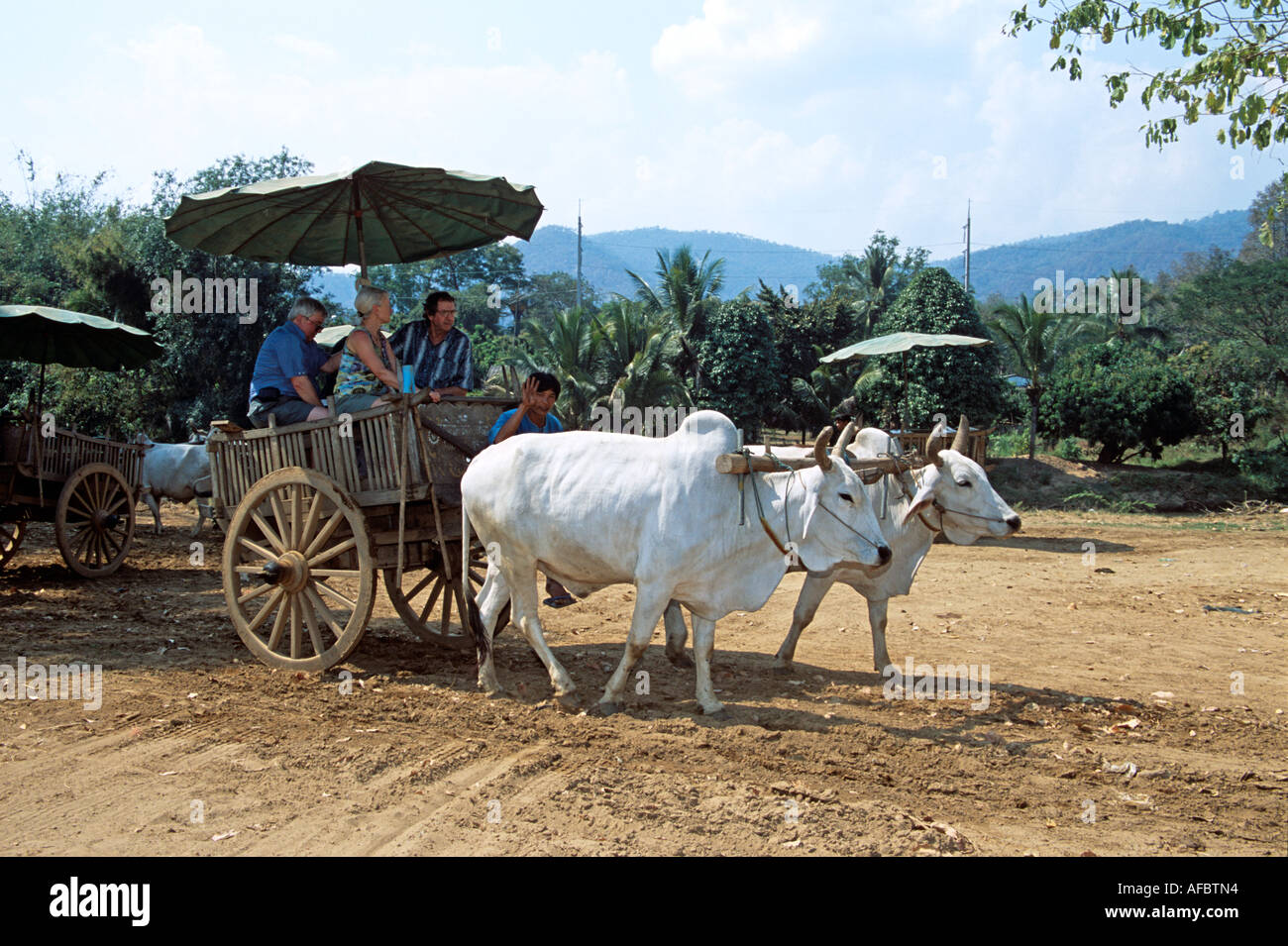 Buoi tirando oxcart con turisti, Mae Ping, vicino a Chiang Mai, Thailandia Foto Stock