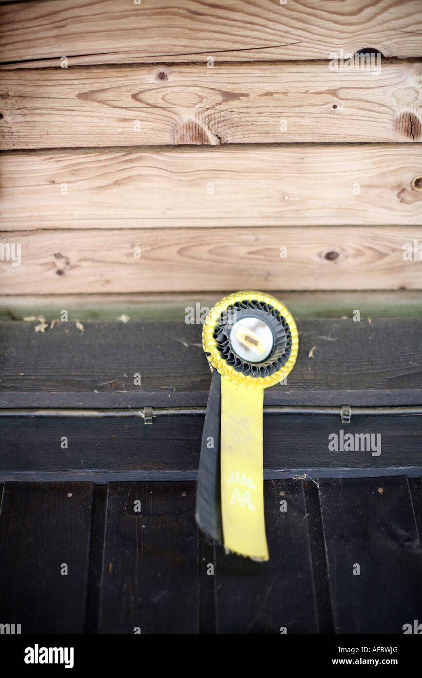 Equitazione: vincitore a nastro del marrone sul muro di casa Foto Stock