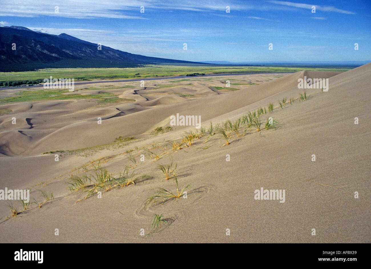 Dune e in riva al lago Grande dune sabbiose del Parco nazionale di Colorado USA Foto Stock