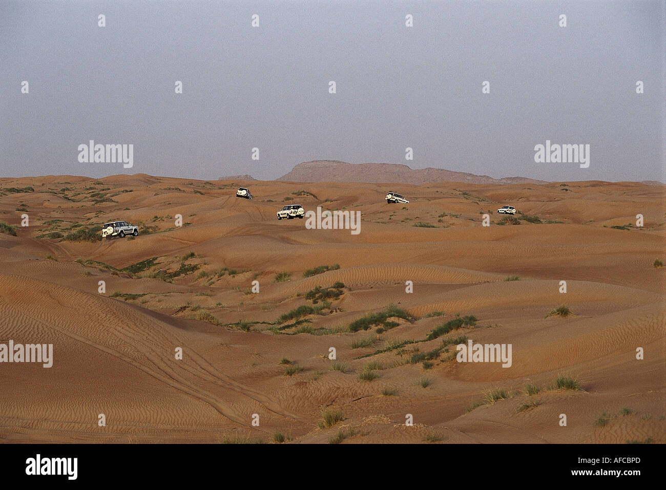 Guida di dune, Net tour safari nel deserto di Dubai, VAE Foto Stock