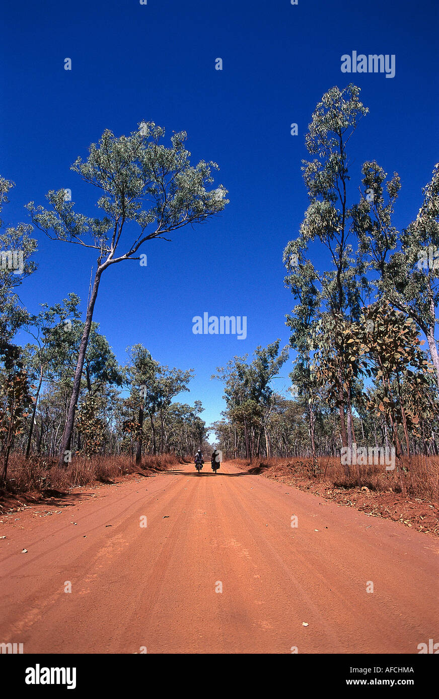 I ciclisti sulla pista Outback, Kakadu NP NT, Australia Foto Stock