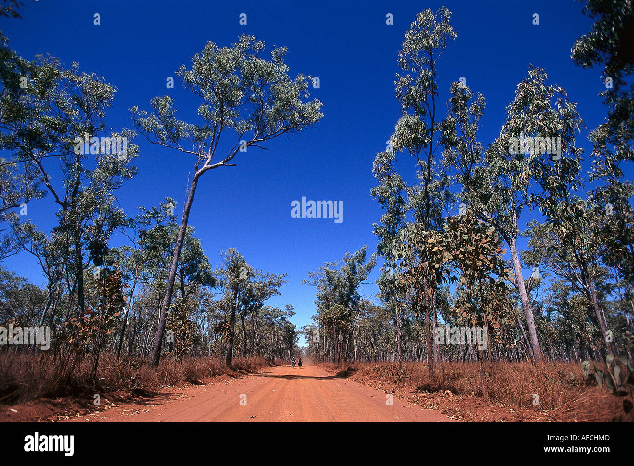 I ciclisti sulla pista Outback, Kakadu NP NT, Australia Foto Stock