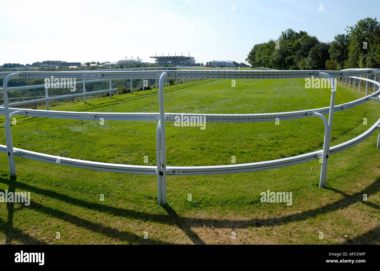 Goodwood Racecourse, West Sussex Foto Stock