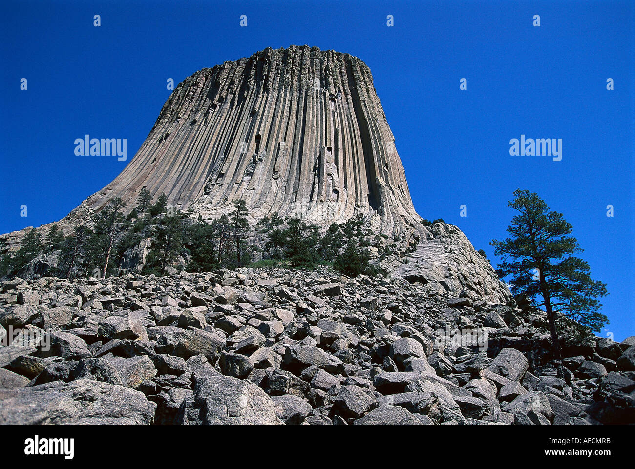 Devils Tower Nat. 1 Monumento Devils Tower, Grand Teton NP, Wyoming USA Foto Stock