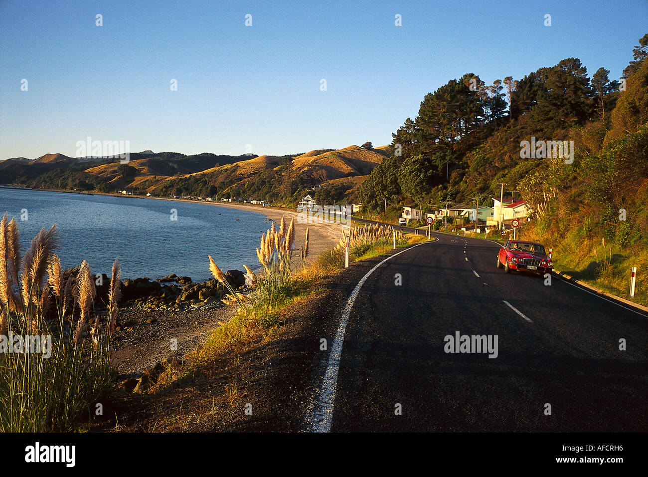 Costa & Road, Penisola di Coromandel, Isola del nord della Nuova Zelanda Foto Stock