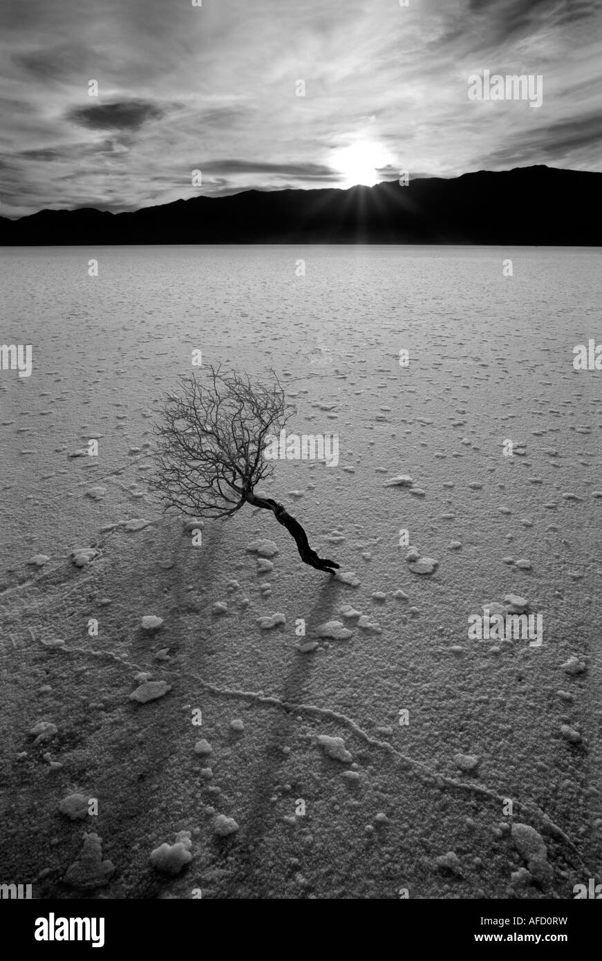 Parco Nazionale della Valle della Morte Foto Stock