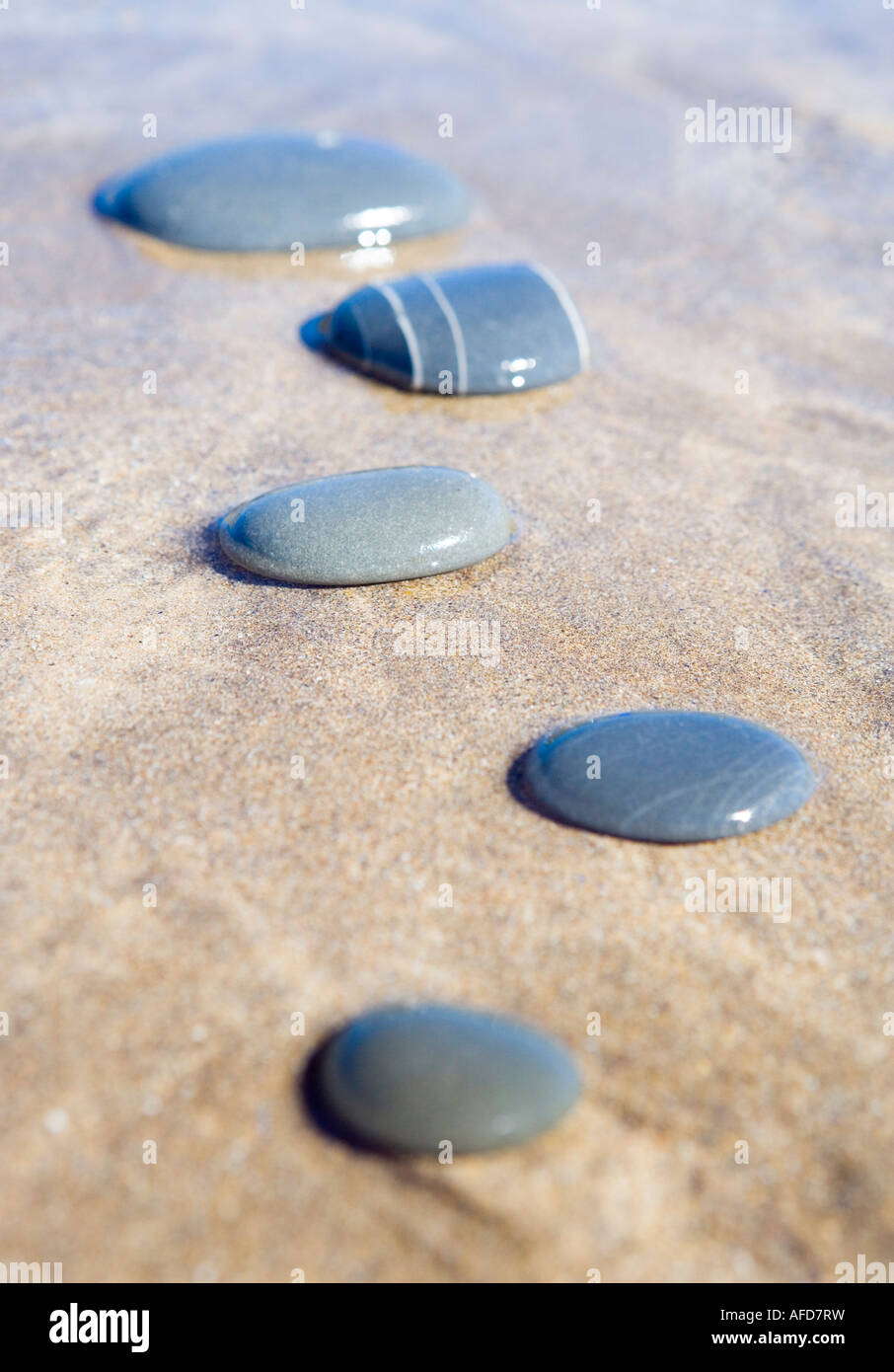 Pietre su di una spiaggia di sabbia Foto Stock