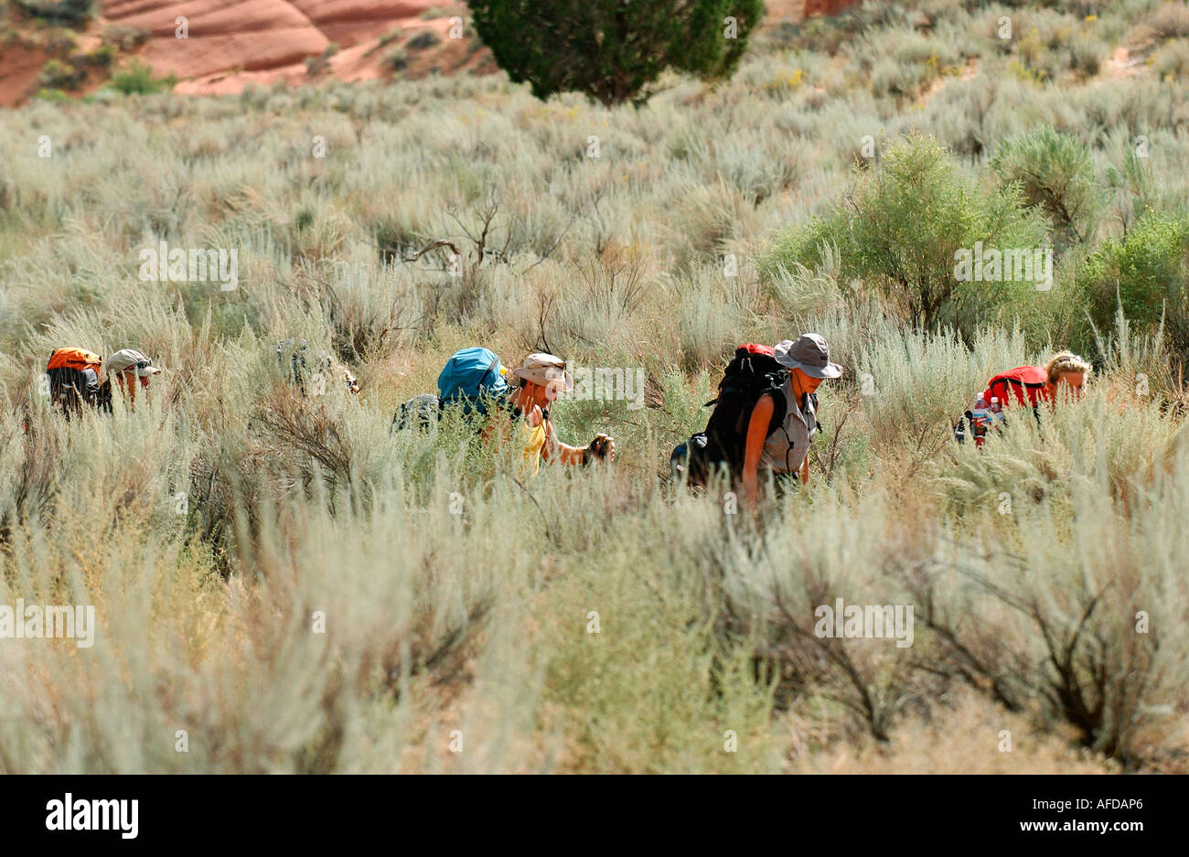 Un gruppo di persone con le escursioni in campagna, Arizona, Stati Uniti d'America Foto Stock
