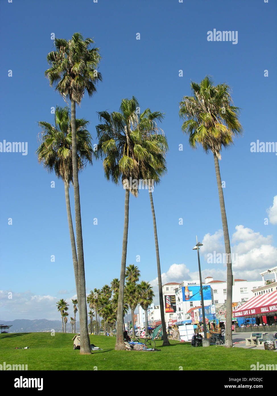 La spiaggia di Venice, California, Stati Uniti d'America Foto Stock