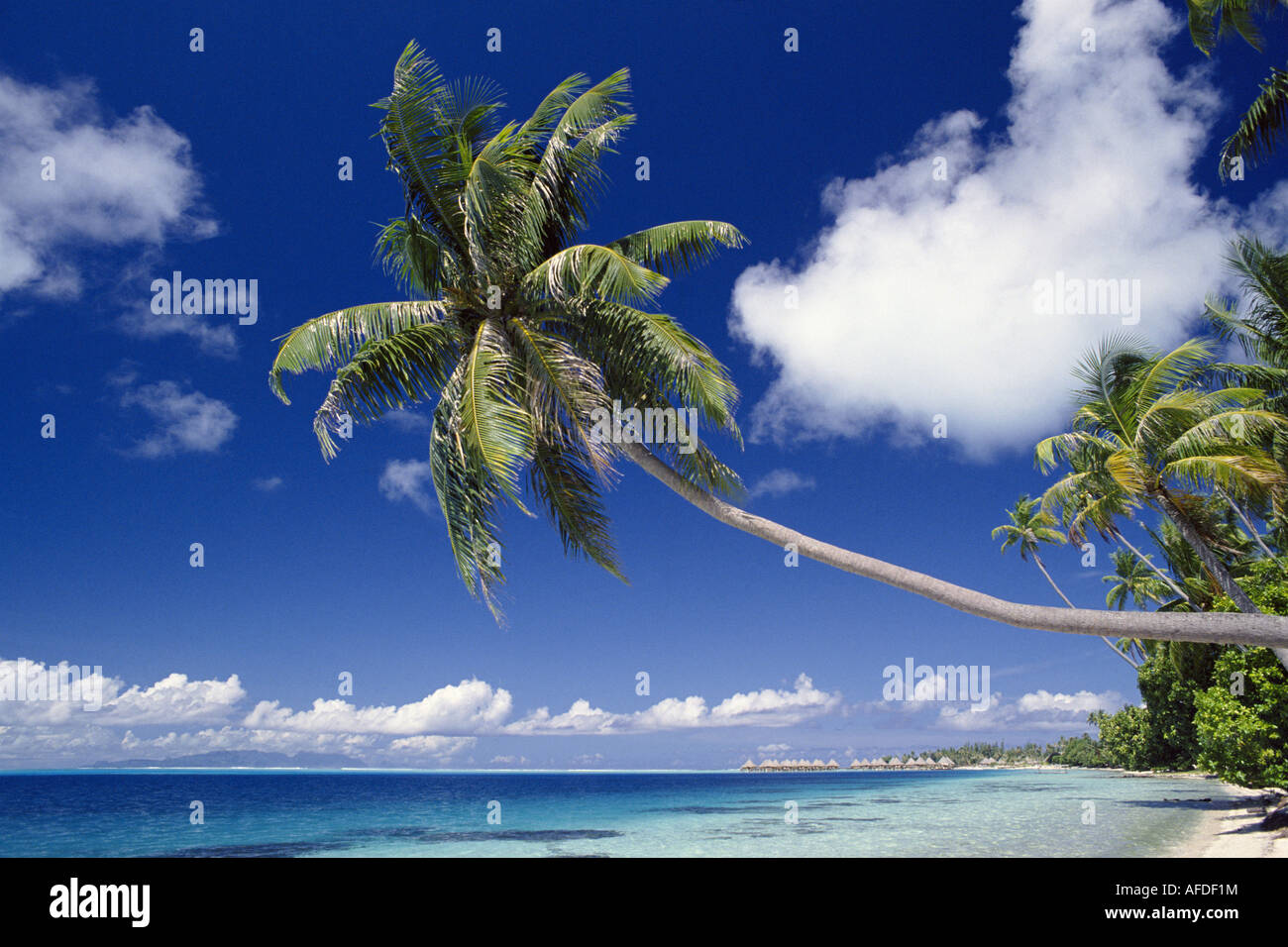 Tropical Beach, Bora Bora, Tahiti, Polinesia Francese Foto Stock