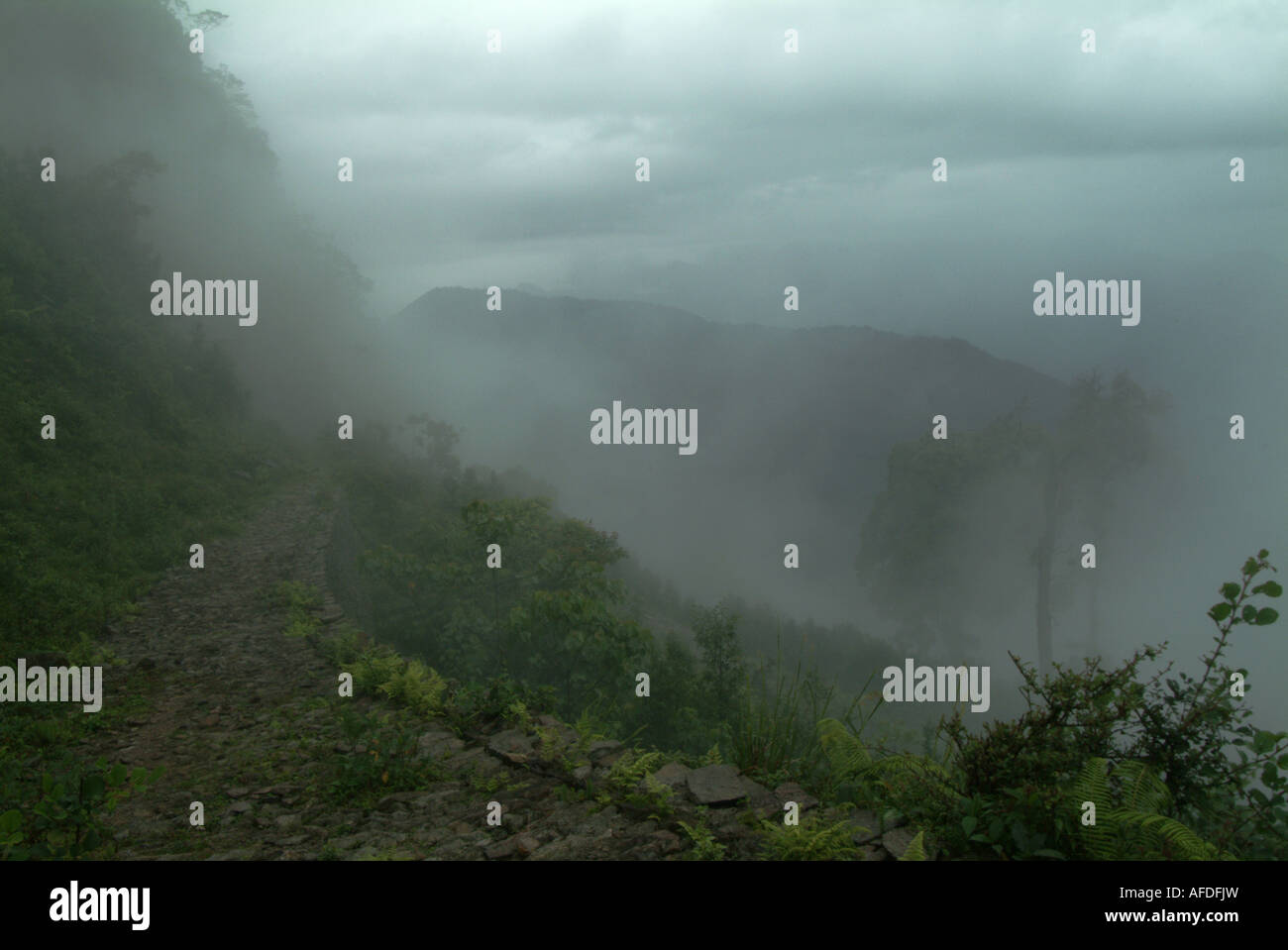 Un sentiero fino alla montagna per il monastero di Yoksum. Foto Stock