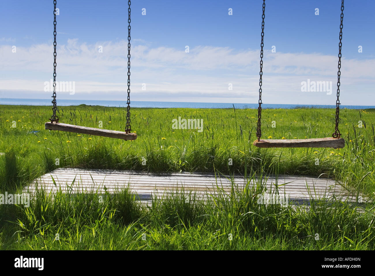 Swing sul pascolo in Islanda Foto Stock