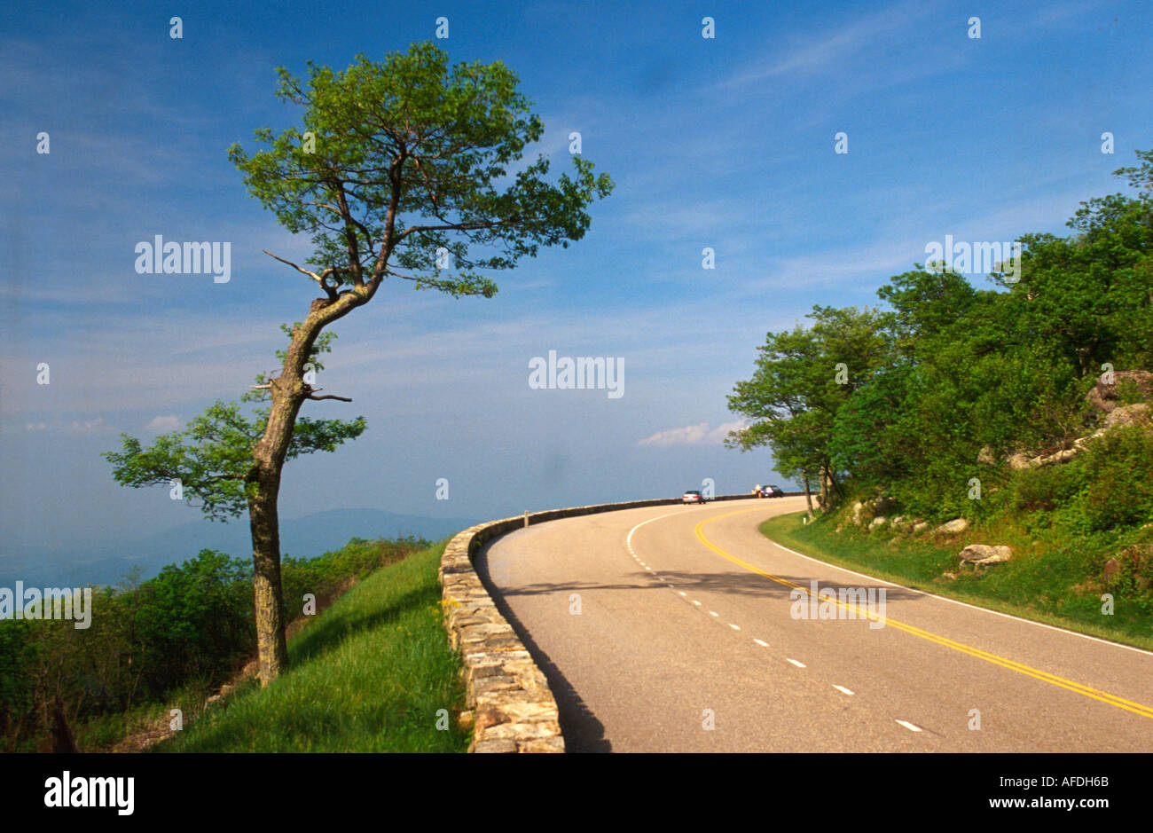 Shenandoah National Park Virginia, terra federale, natura, naturale, paesaggio, campagna, conservazione storica, pubblico, ricreazione, Skyline Drive Mile Marker 21 Foto Stock