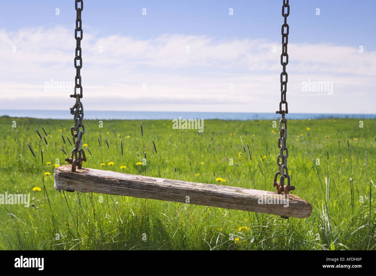 Swing sul pascolo in Islanda Foto Stock