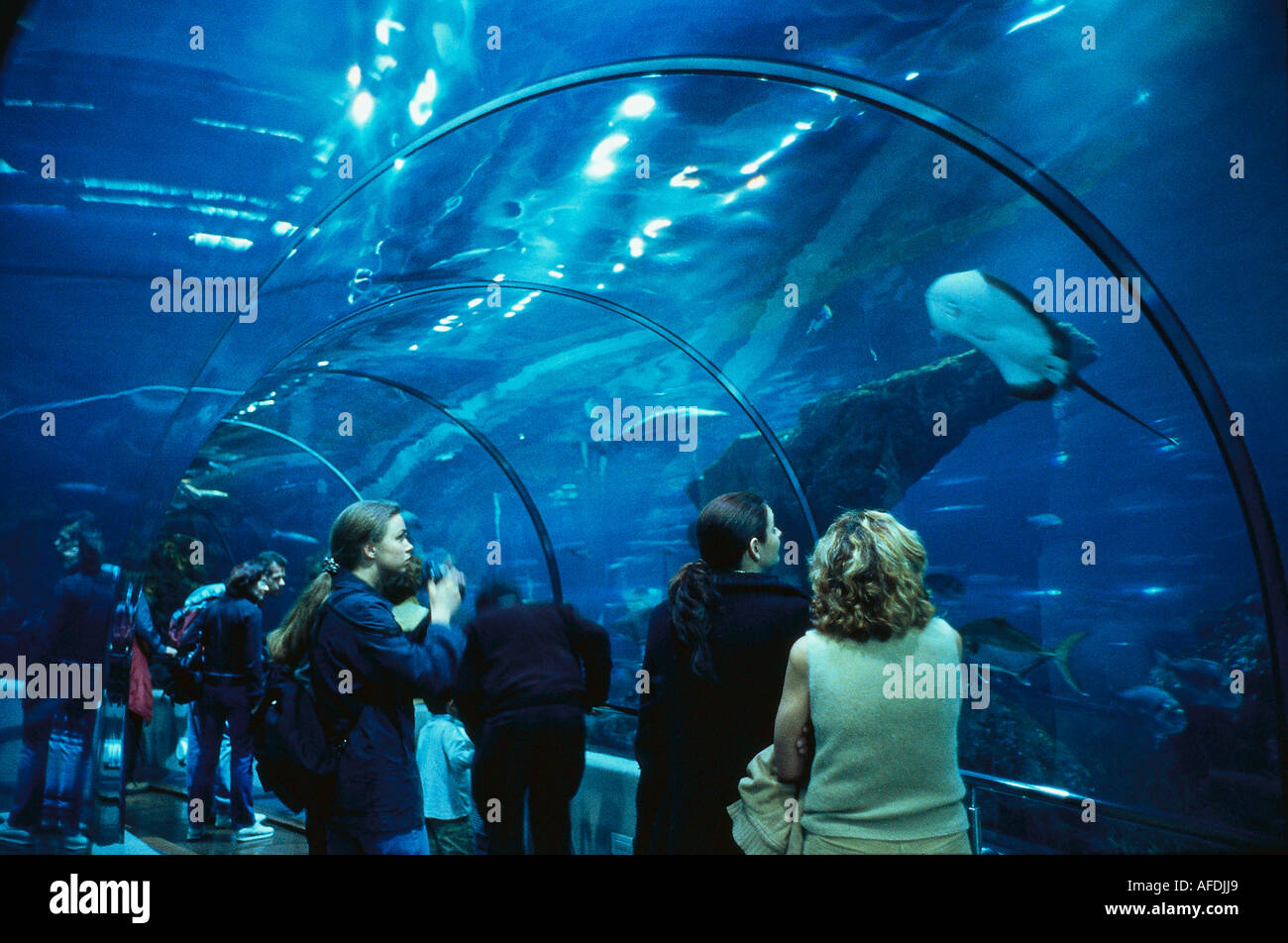 Acquario, Barcellona Spagna Foto Stock