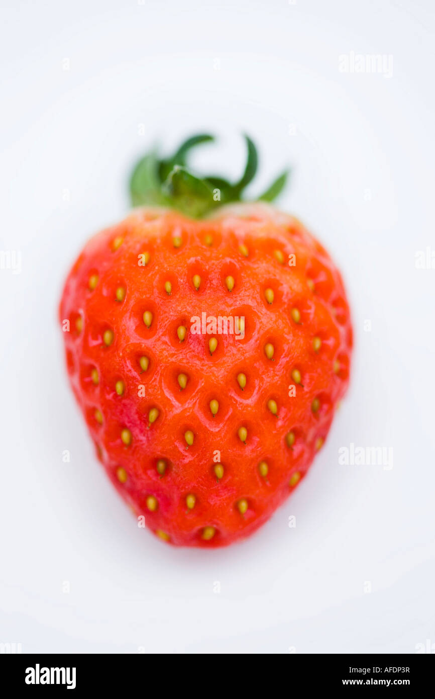 Immagine ravvicinata di un singolo fragole mature Foto Stock