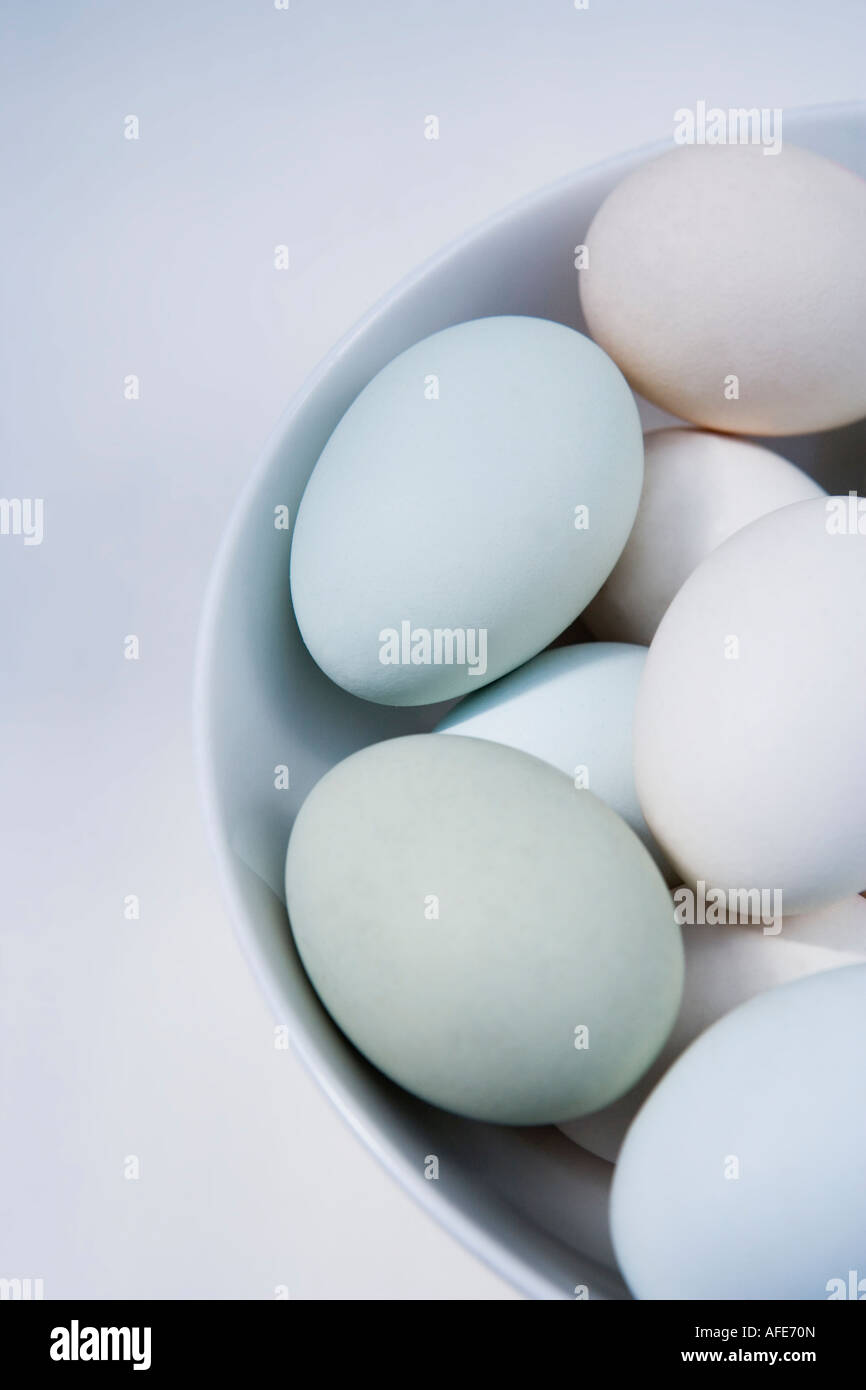 Razza rara freerange uova in porcellana bianca vaso "Vecchio Cotswold Legbar polli' Foto Stock