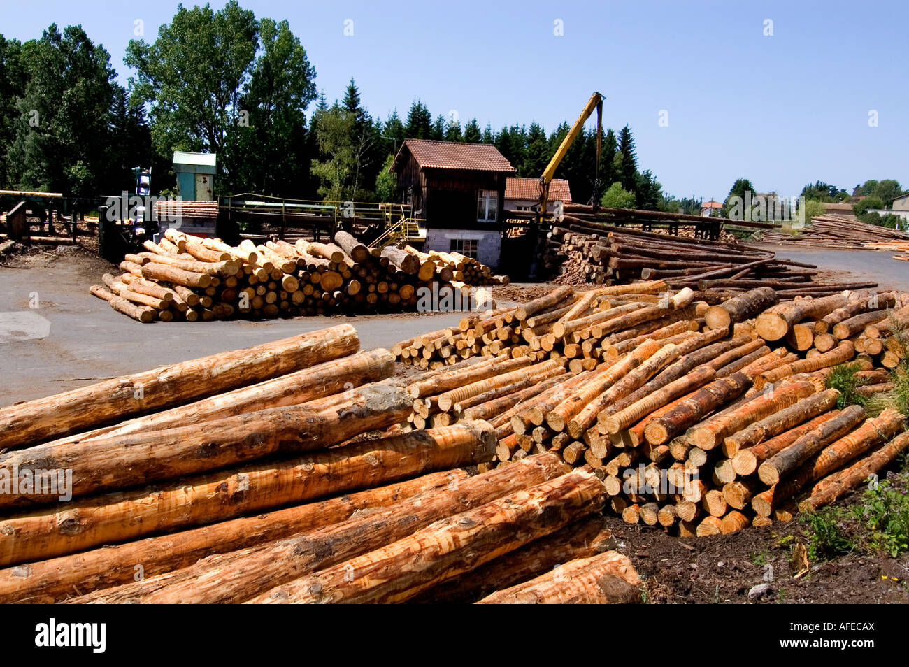 Segheria di legname di legno di legno-sawyer legname lumberjack log in legno Legname abbattimento di alberi mulino in legno di foresta francia - francese Foto Stock