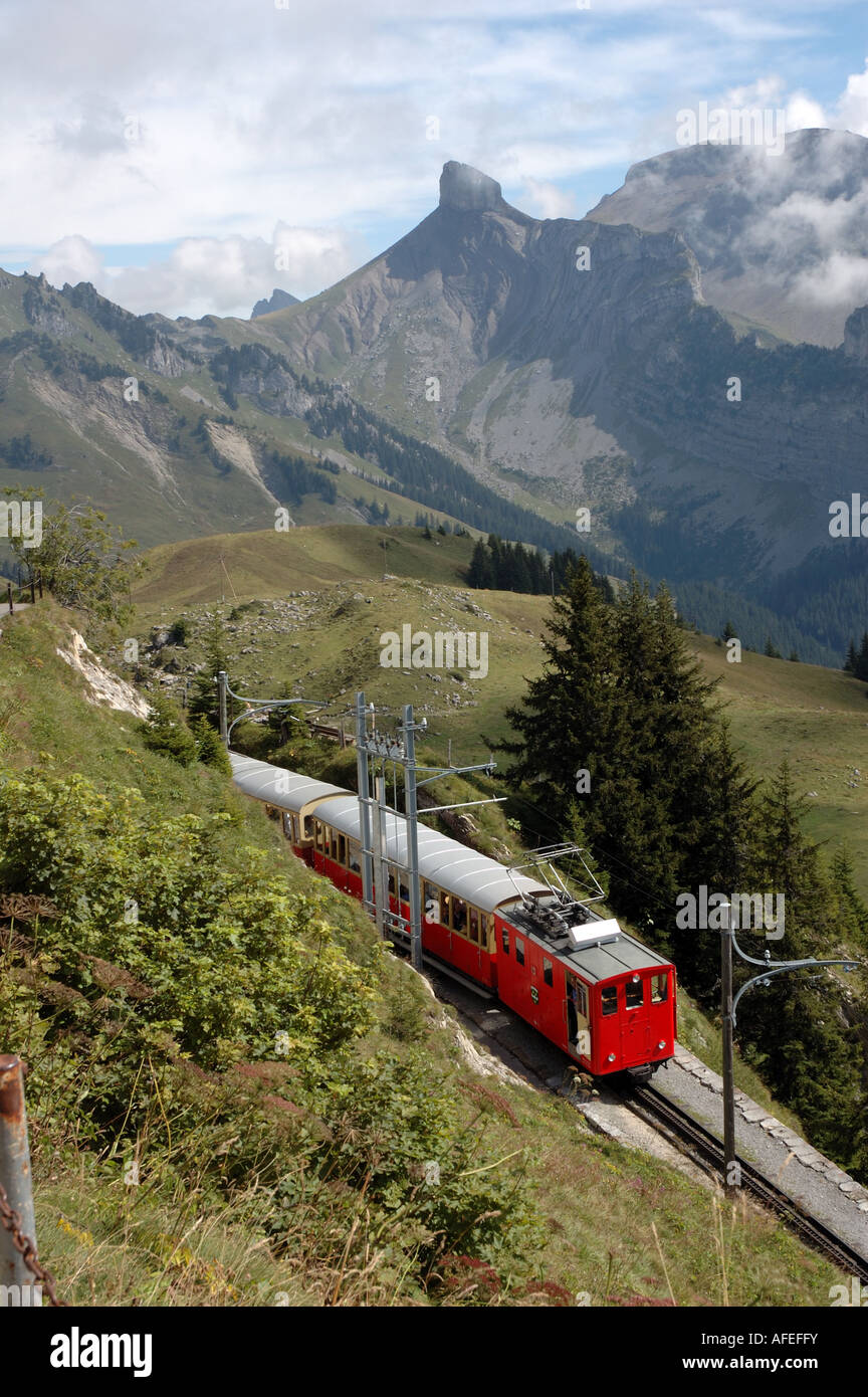 Schynige Platte, ferroviaria Interlaken, Svizzera Foto Stock