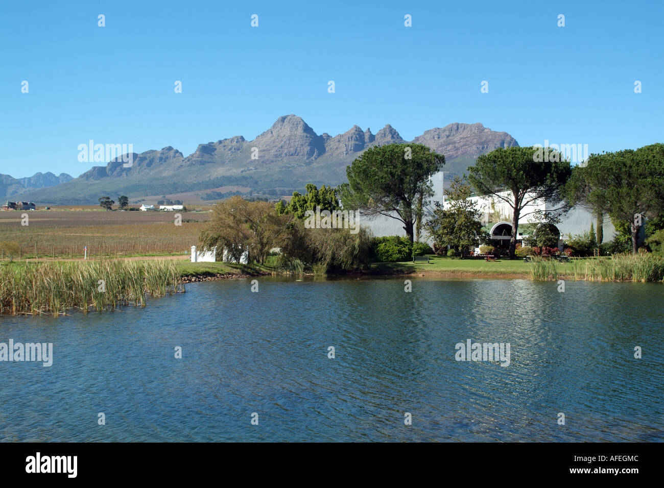 Helderberg Mountain si affaccia Eikendal vigneti vicino a Stellenbosch western cape South Africa RSA. Cantina sulla diga Foto Stock