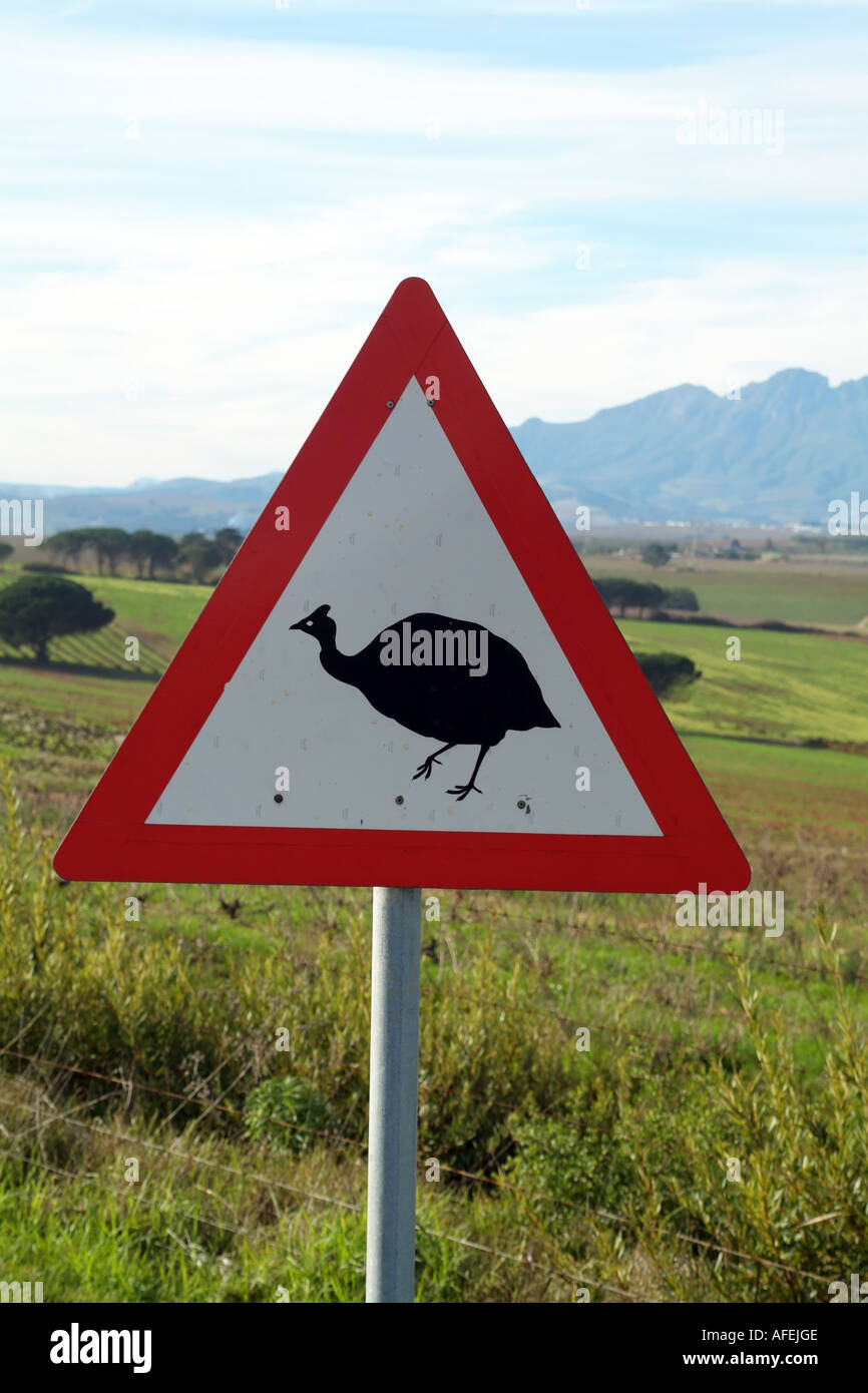 Guardatevi un triangolo rosso cartello stradale che mostra un faraone uccello sull'autostrada. Sud Africa RSA Foto Stock