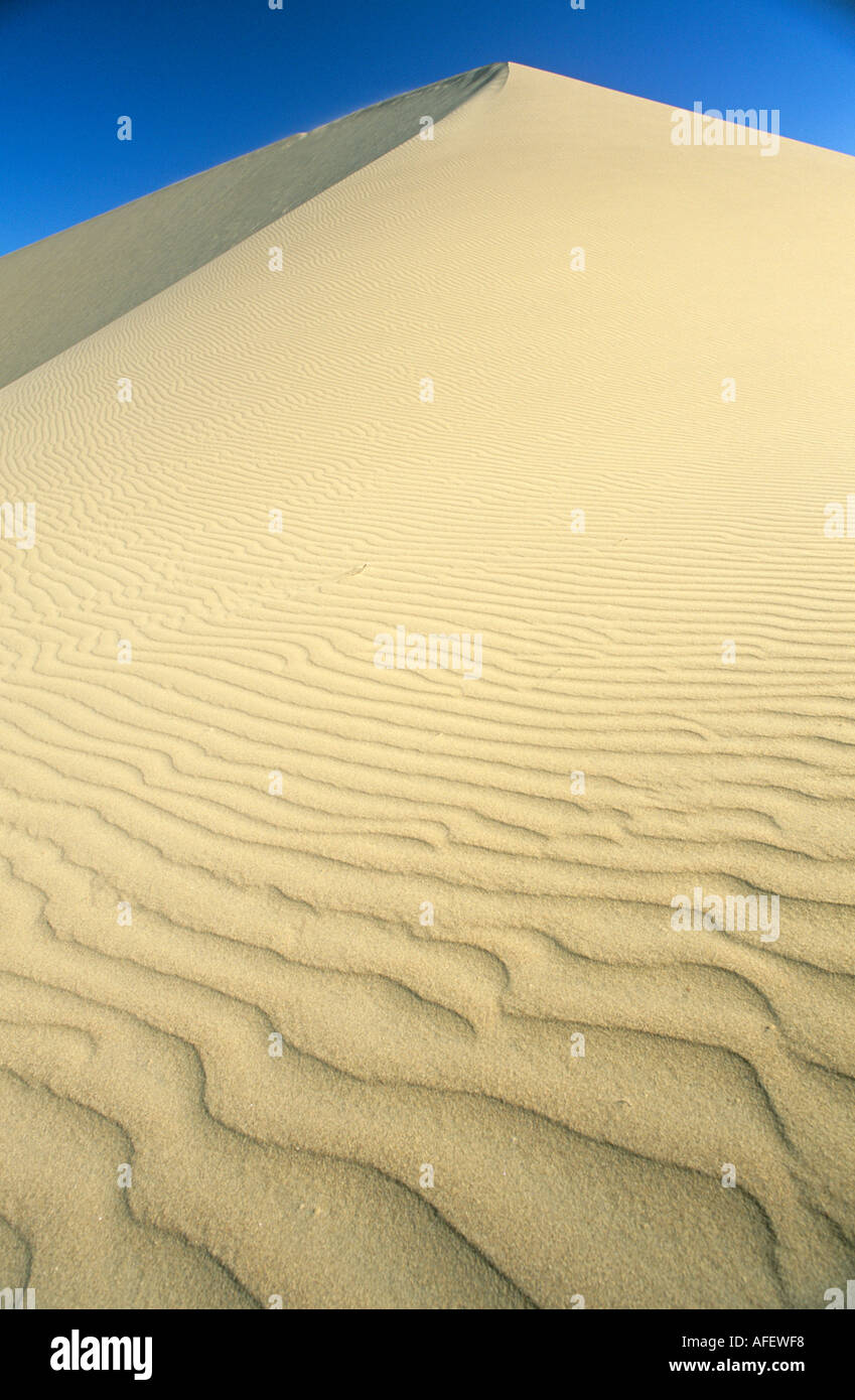 Deserto di Dune Coro Venezuela Foto Stock