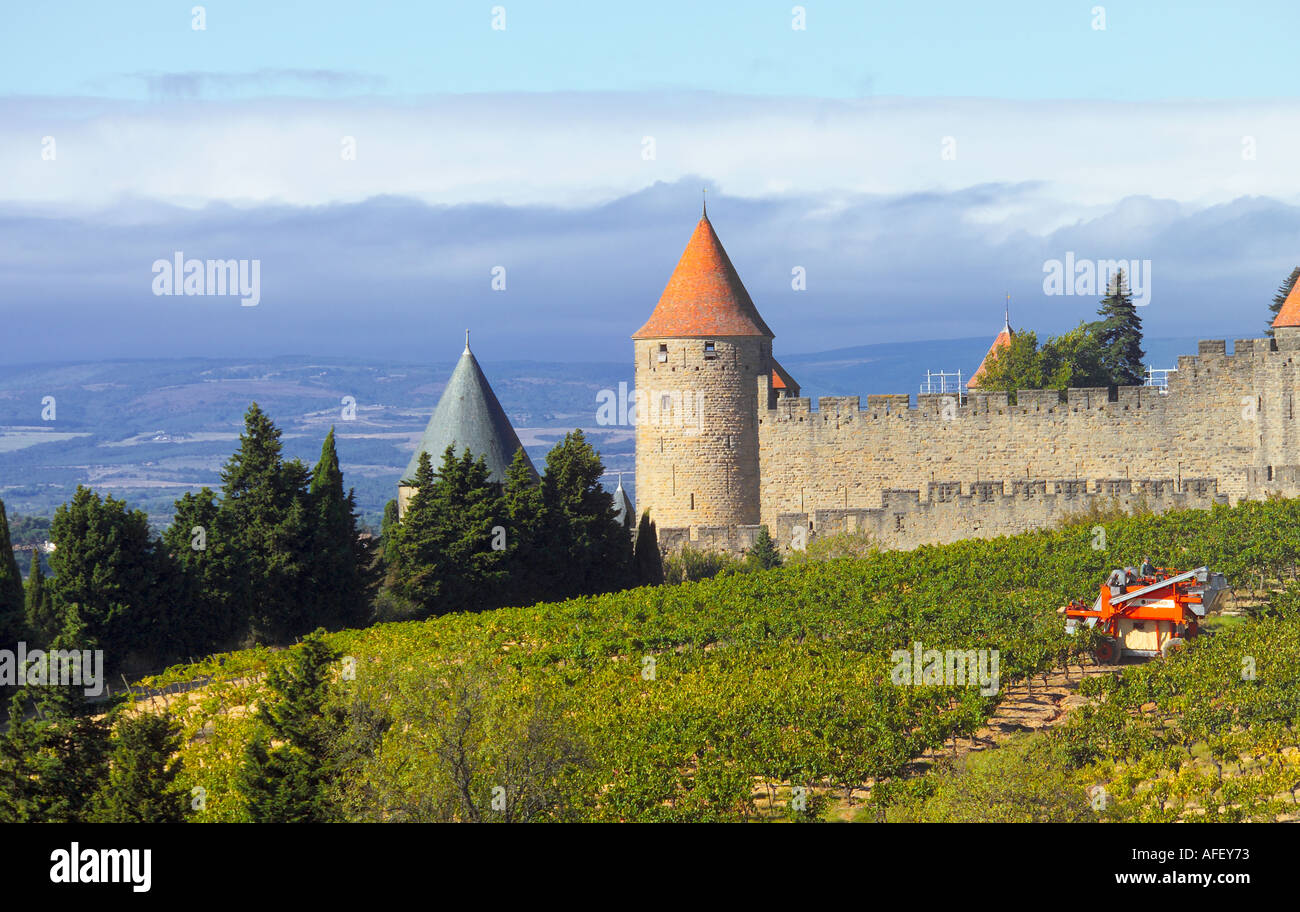 Francia, Occitanie, Languedoc Roussillon, Aude, Carcassonne, la Cite, medievale città vecchia Foto Stock