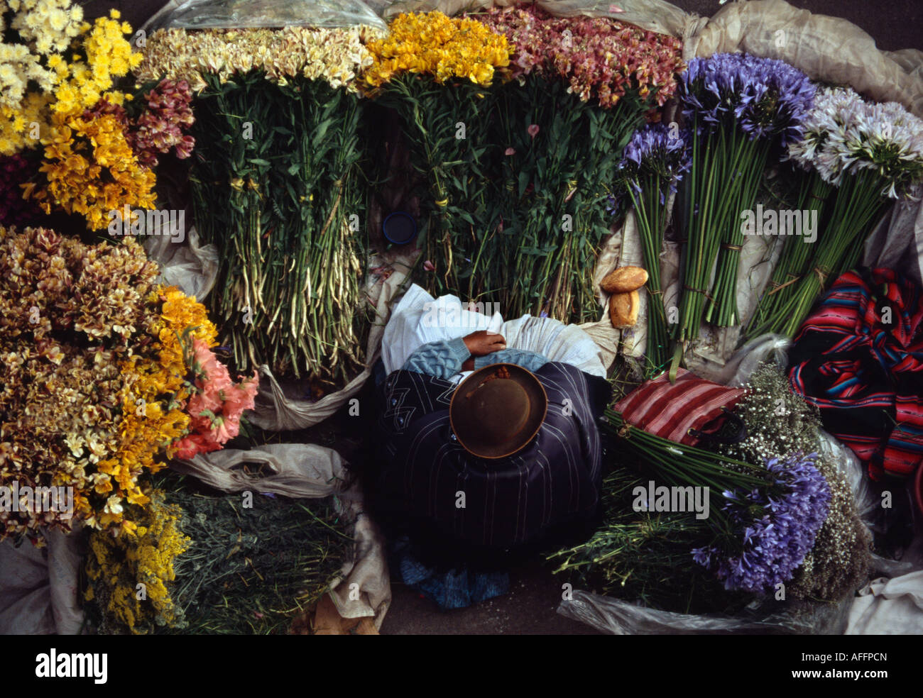 Chola venditore di fiori - La Paz in Bolivia Foto Stock