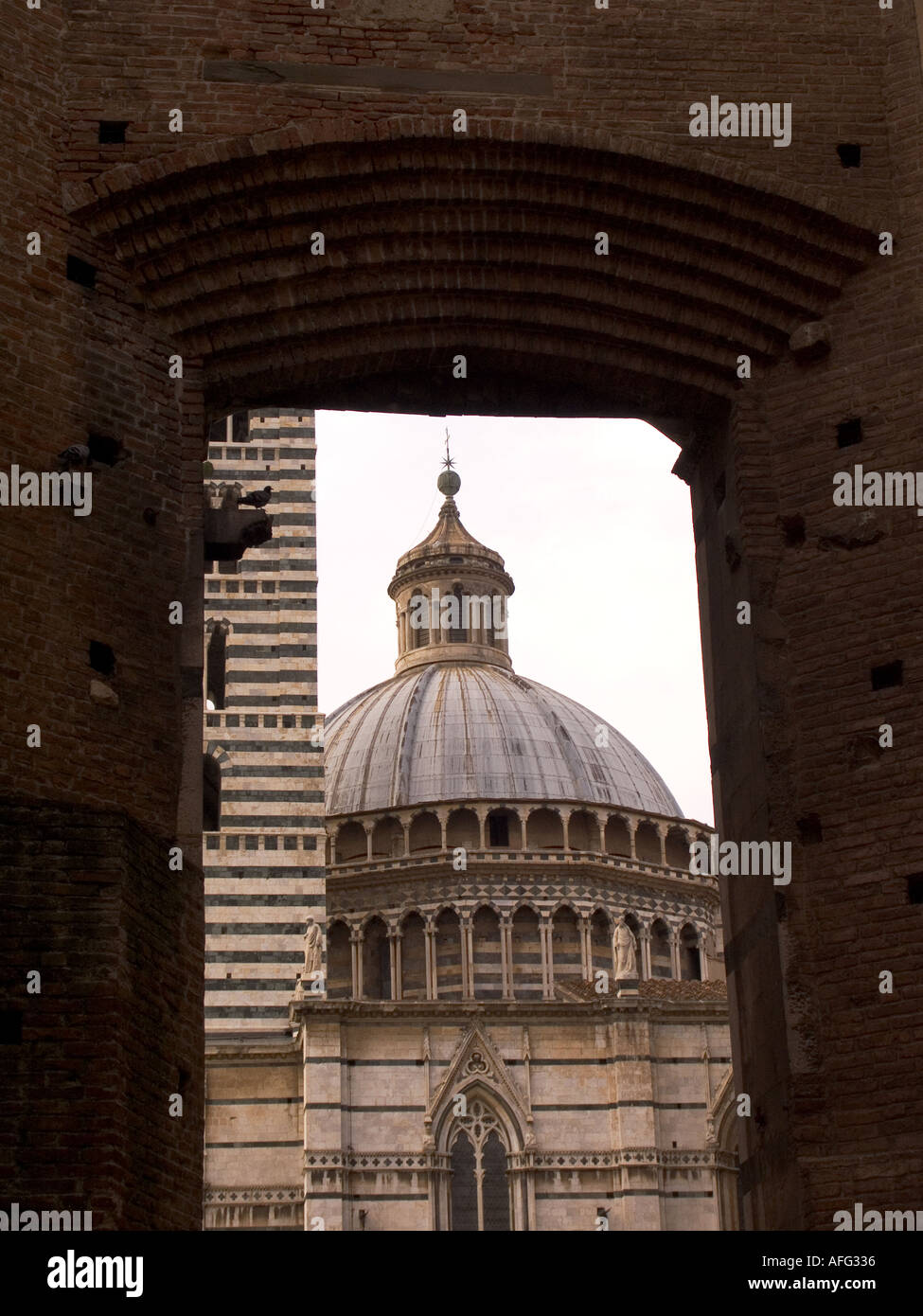 La cupola del Duomo di Siena Italia Foto Stock