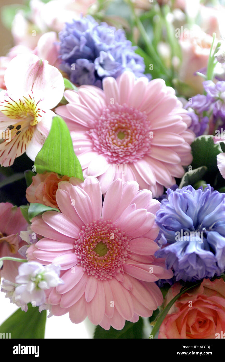 082 Blumenstrauss von Hyazinthen Fruehlingsblumen Gerbera Fresien und Rosen Foto Stock