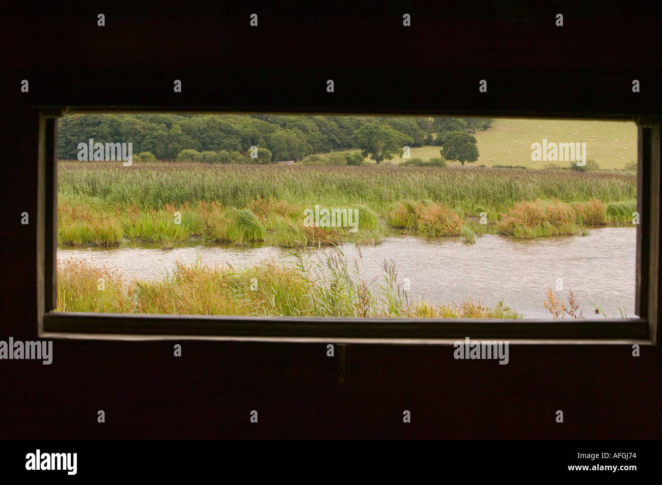 Una vista della palude e reedbed a Leighton Moss RSPB riserva da uno delle pelli Foto Stock