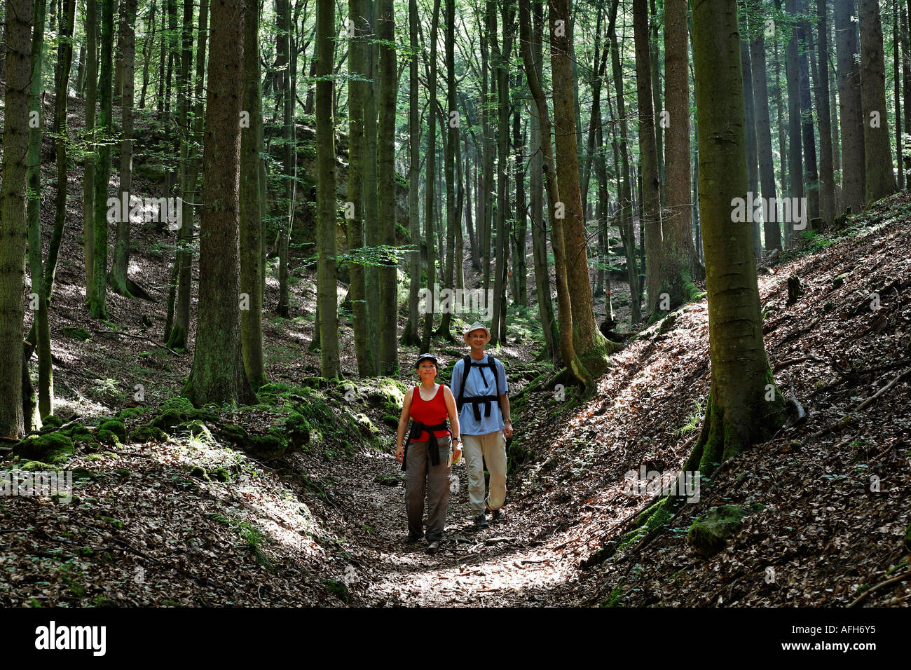 Signor escursionista sulla pista forestale in Rio di Pusteria Alto Palatinato Baviera Germania Foto Stock