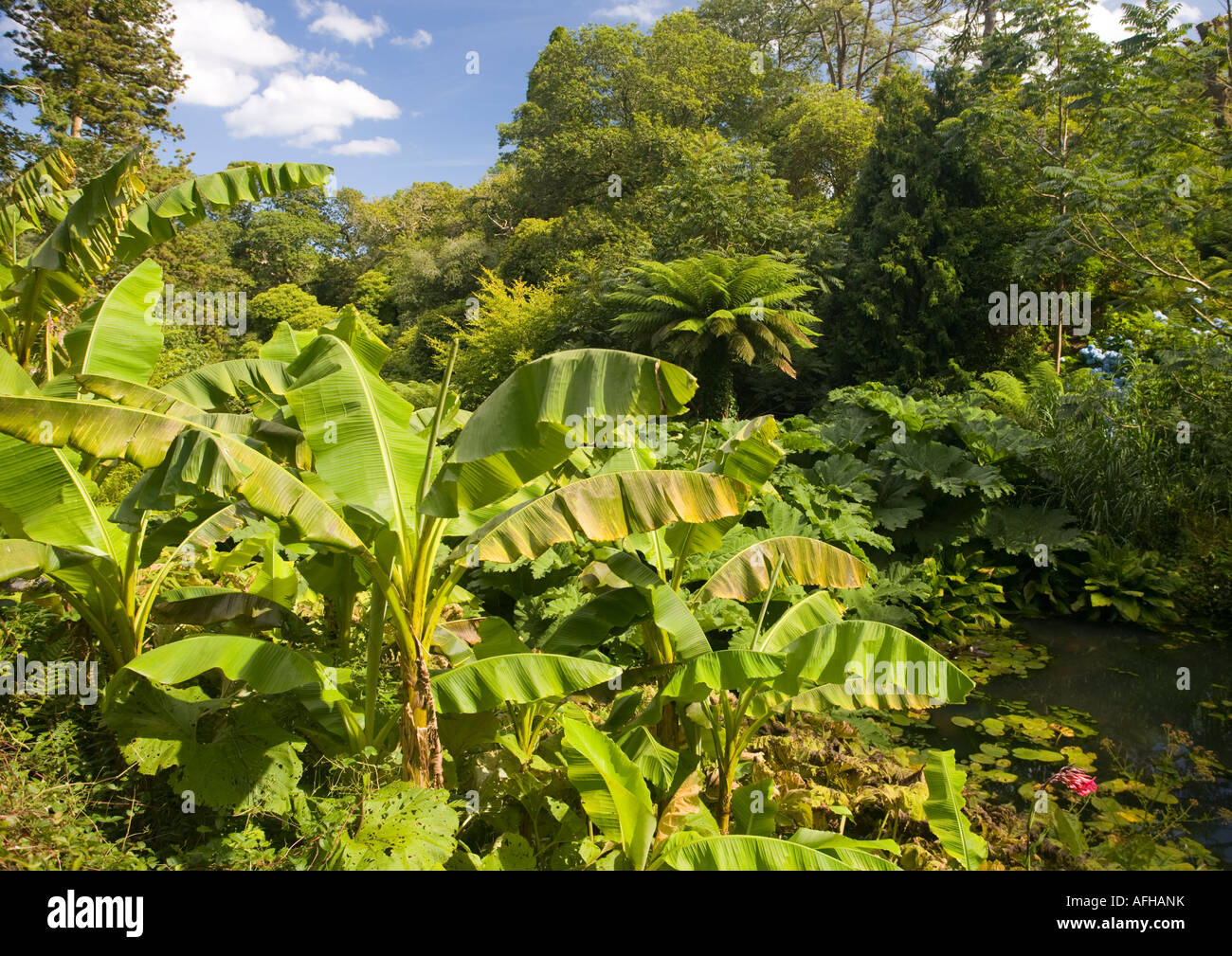 I giardini, create principalmente nel XIX secolo era uno dei più bei giardini in Inghilterra del loro periodo, con 57 acri di Foto Stock