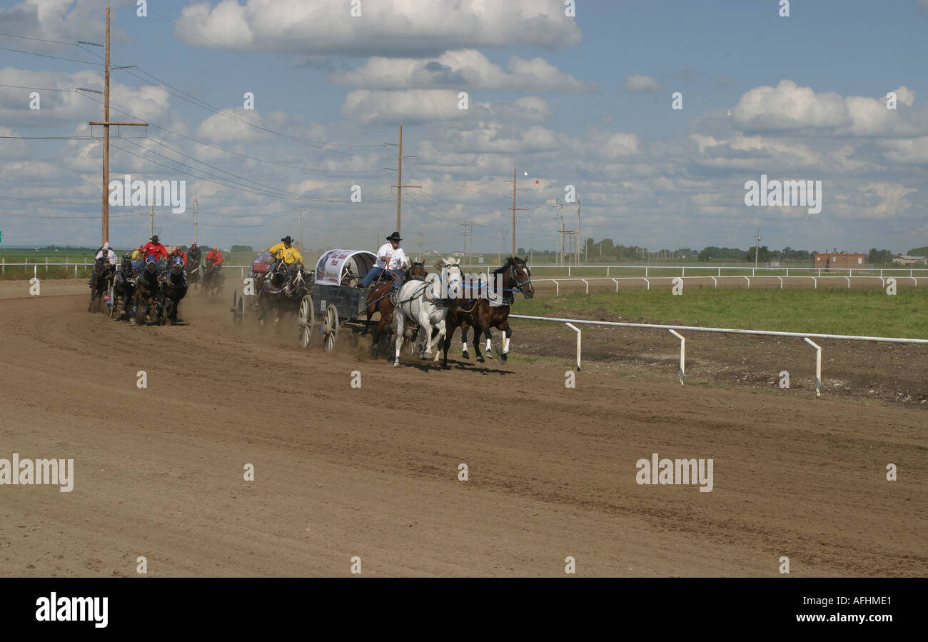Rodeo Alberta Canada Chuck wagon racing Foto Stock