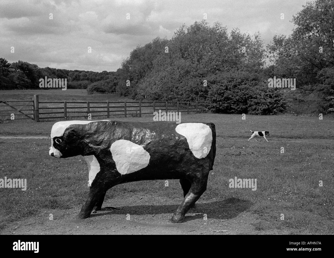 Milton Keynes Infamous vacche concrete della nuova città di Milton Keynes in Inghilterra Foto Stock