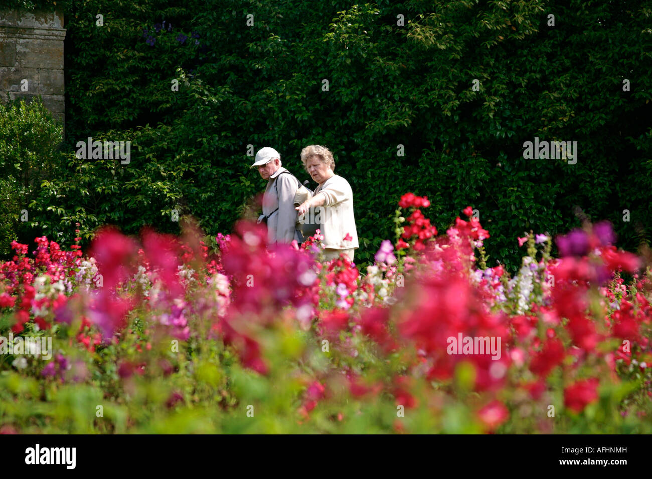 Uomo maturo e donna che ammirano l'esposizione dei Penstemons (varietà Amelia Jane) mentre visitano il giardino inglese in tarda estate Foto Stock