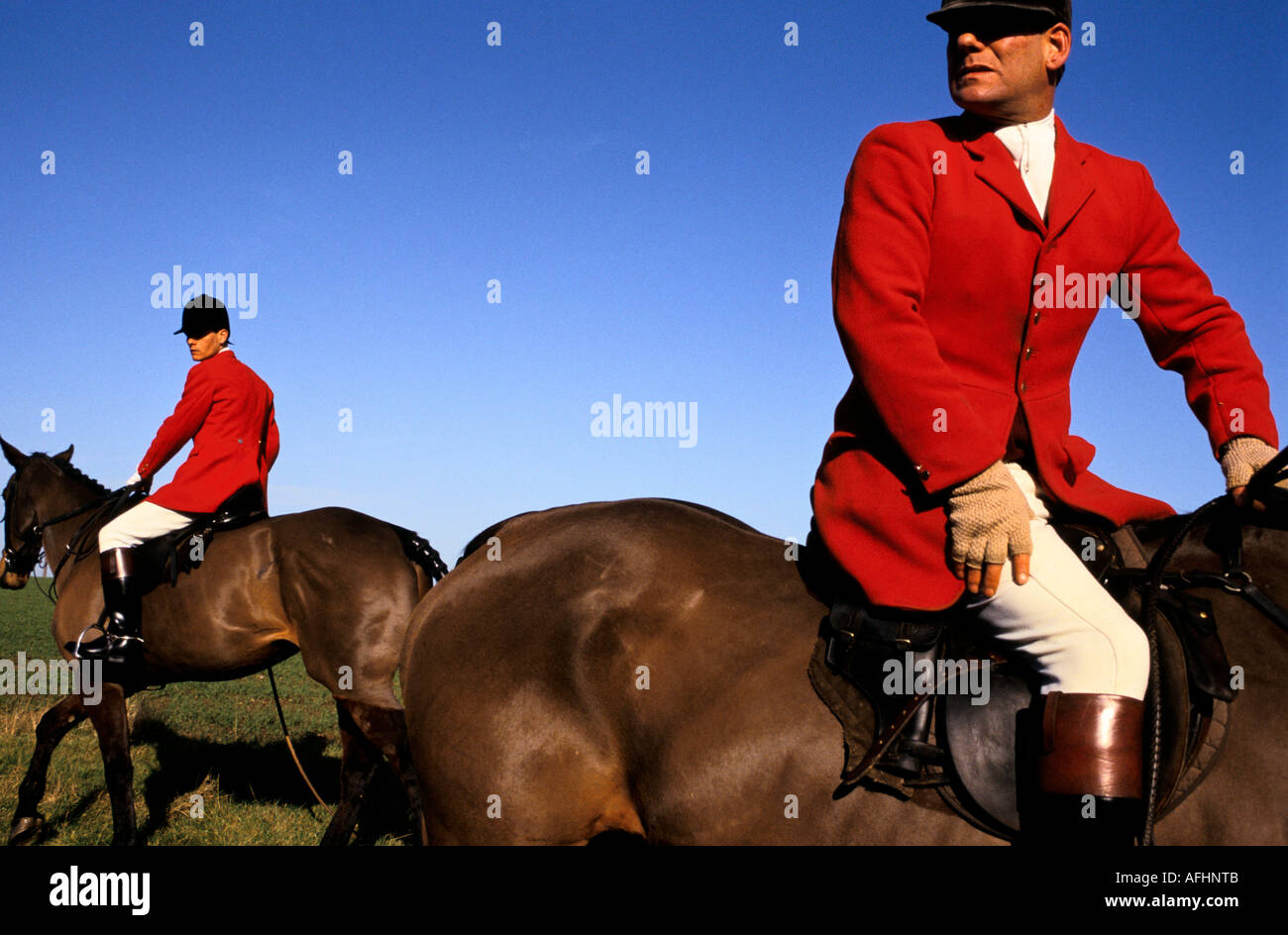 L'Essex Hunt huntsman circa per impostare off in cerca di una volpe Foto Stock