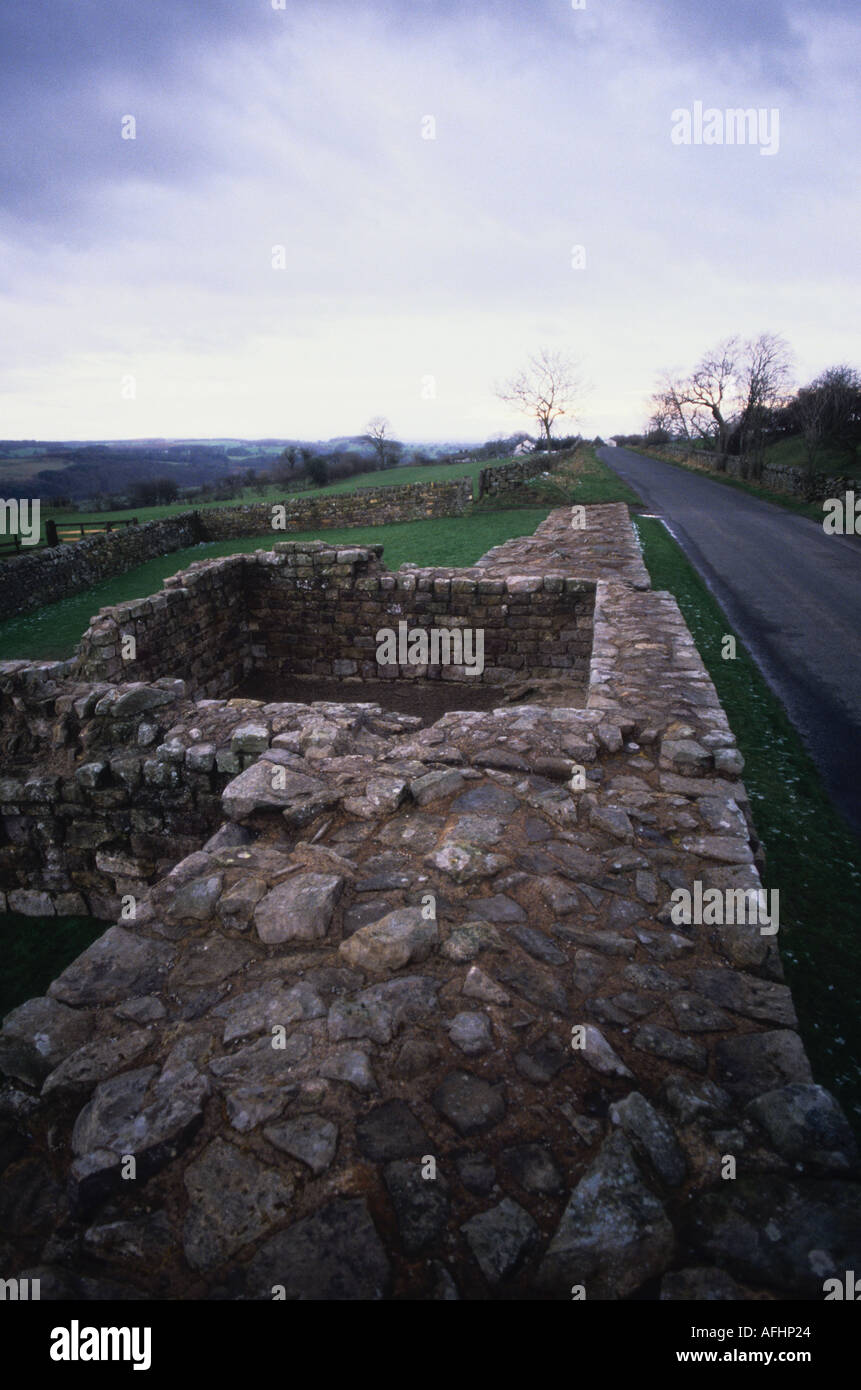 Banche torretta est fortificazione nel Vallo di Adriano Northumberland Foto Stock