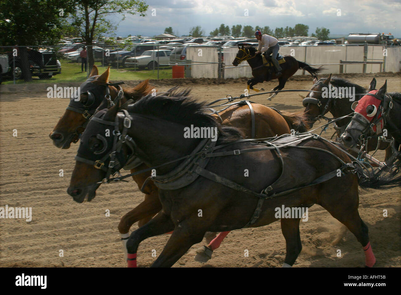 Rodeo Alberta Canada Chuck wagon racing Foto Stock