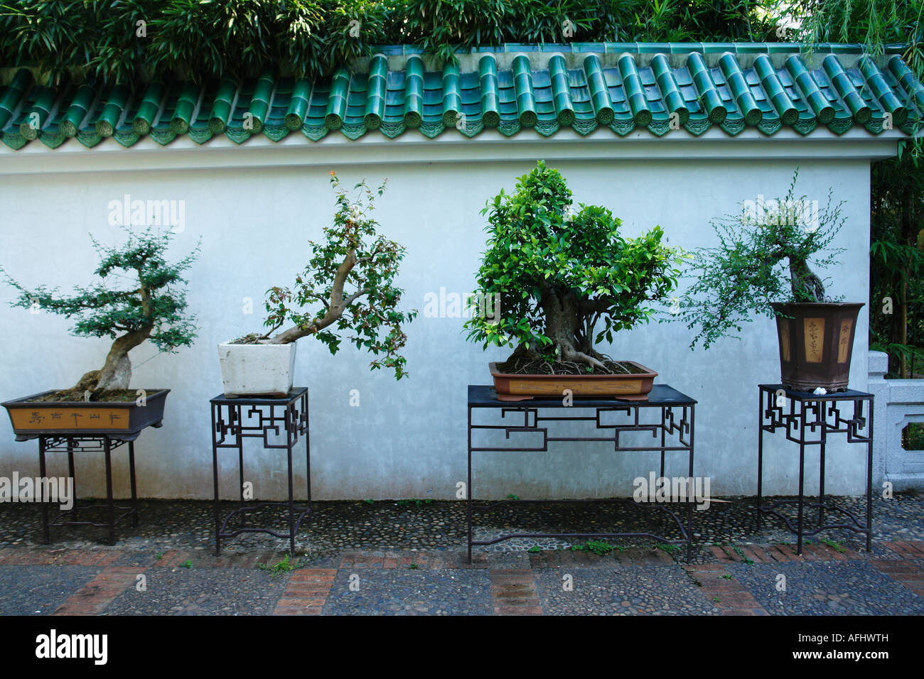 Display di Bonsai nel giardino cinese Foto Stock