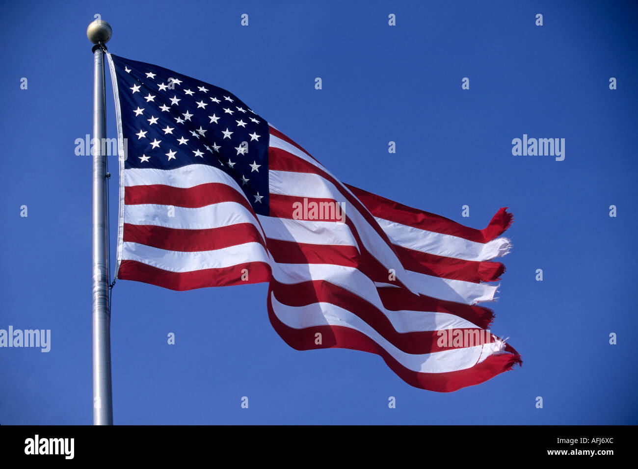 Bandiera americana Foto Stock