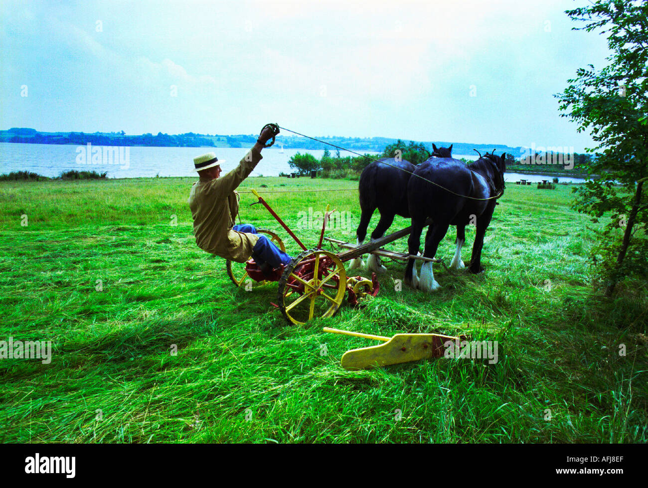 Davvero una macchina verde. Un 1930 cavallo Tosaerba Tosaerba disegnato utilizzato da acqua società Severn Trent per la falciatura di un prato di fiori selvaggi Foto Stock