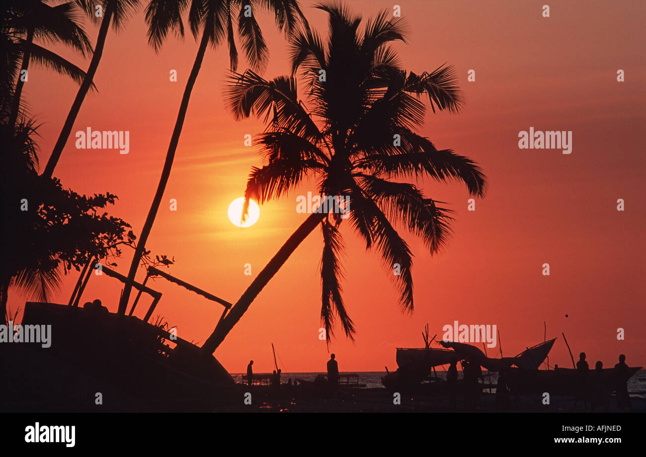 Stagliano dhows e palme al tramonto Nungwi punta settentrionale di Zanzibar Tanzania Africa orientale Foto Stock
