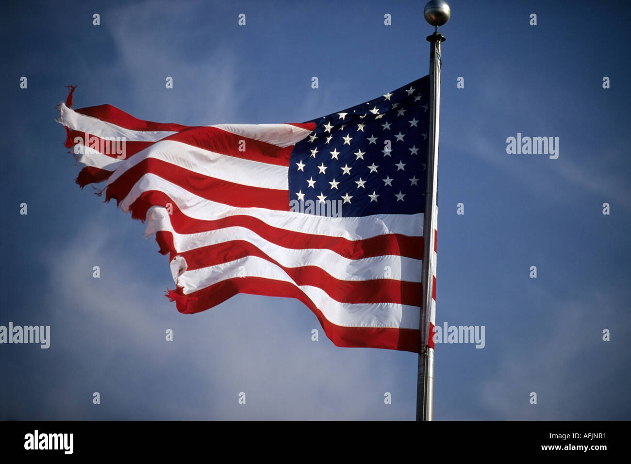 Bandiera americana nel vento USA Foto Stock